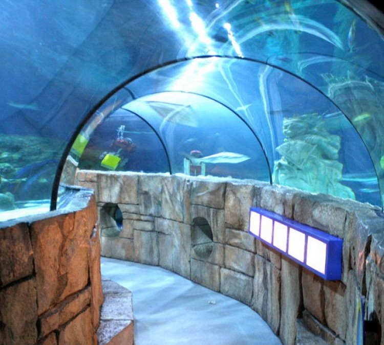 SEA LIFE Aquarium (Carlsbad,&nbspCA)